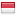 pkhdaily.com server is located in Indonesia